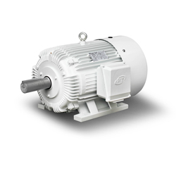 Oil Well Pump Motor 6 Pole